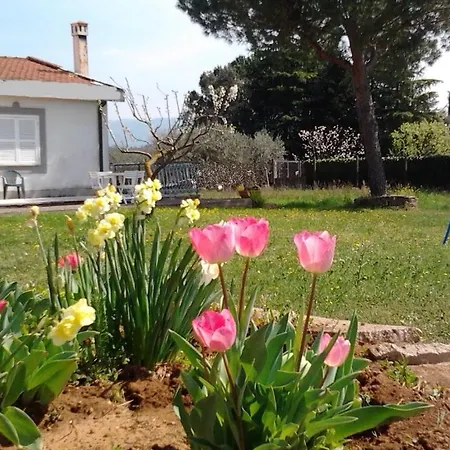 Bed & Breakfast A Casa Di Ameli *