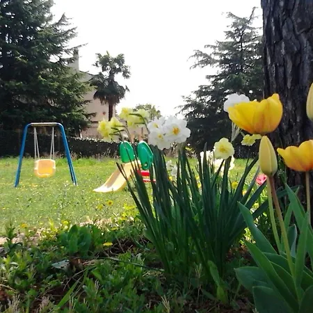 A Casa Di Ameli Bed & Breakfast Gallicano nel Lazio